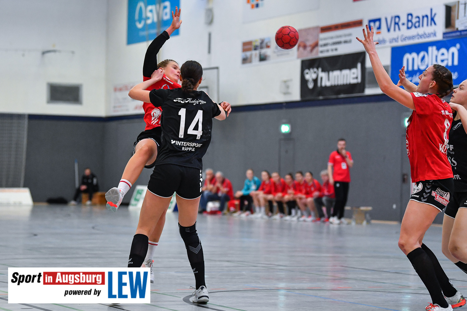 Handball Haunstetten Metzingen  SIA 0002