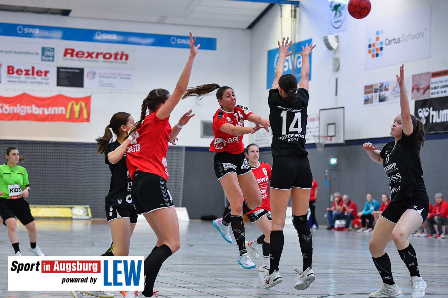 Handball Haunstetten Metzingen  SIA 0009
