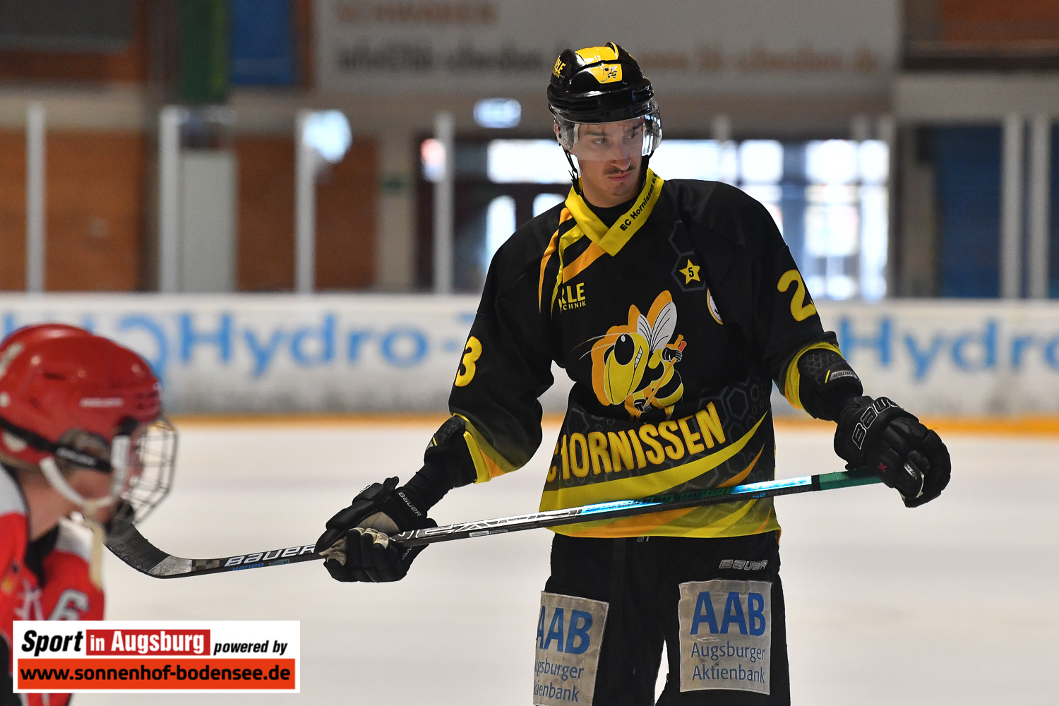 Eishockey EC Hornissen  SIA 0912