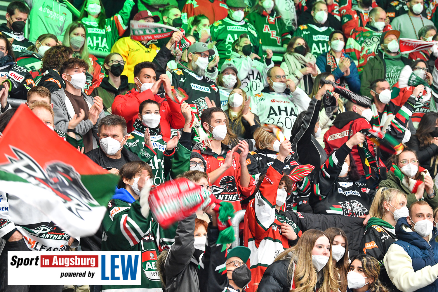 Fans DEL Eishockey  AEV 4838