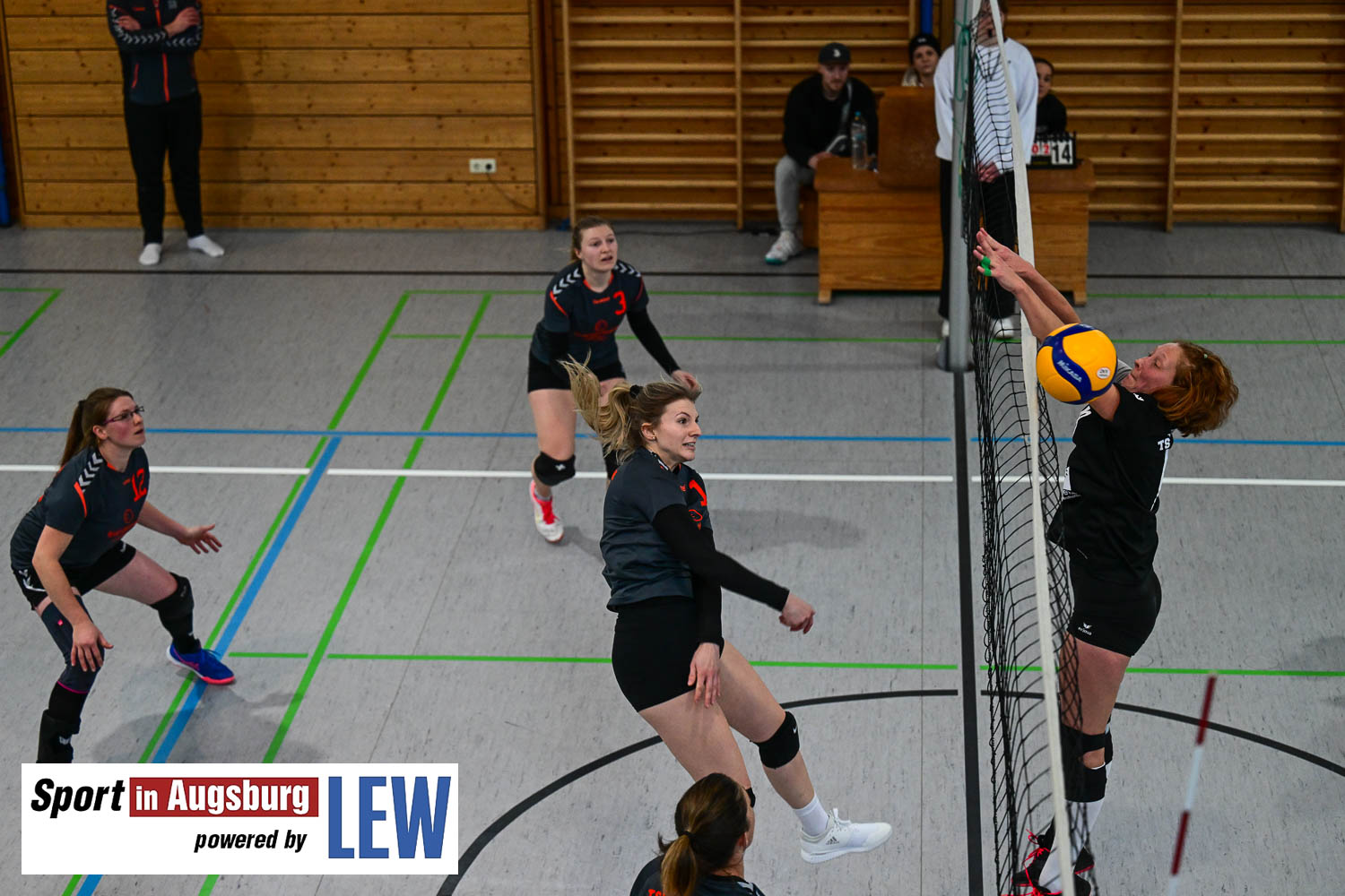 Volleyball-Bezirksliga-Damenl-AEV 3675