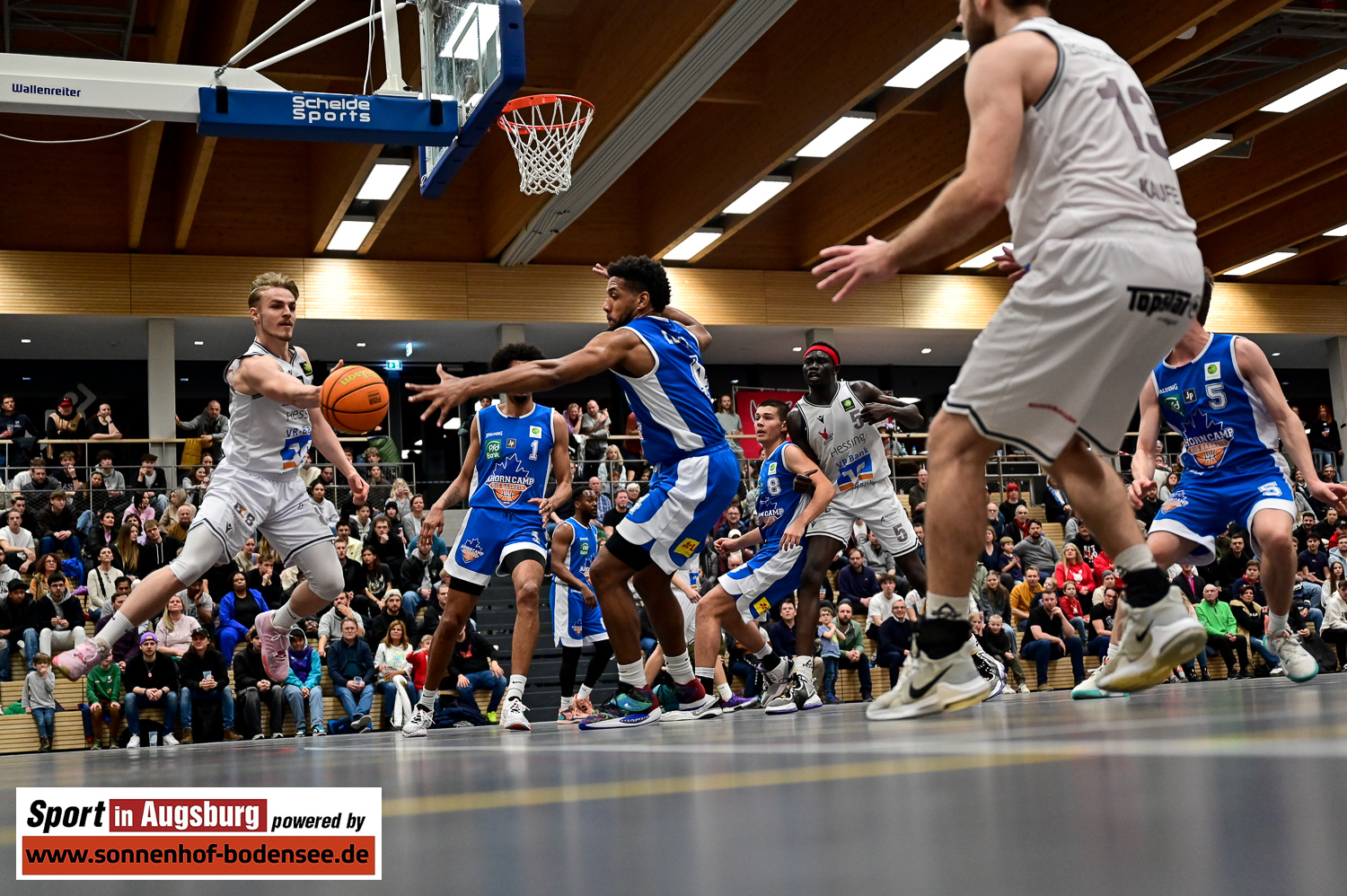 Basketball Kangaroos Speyer DSC 5348
