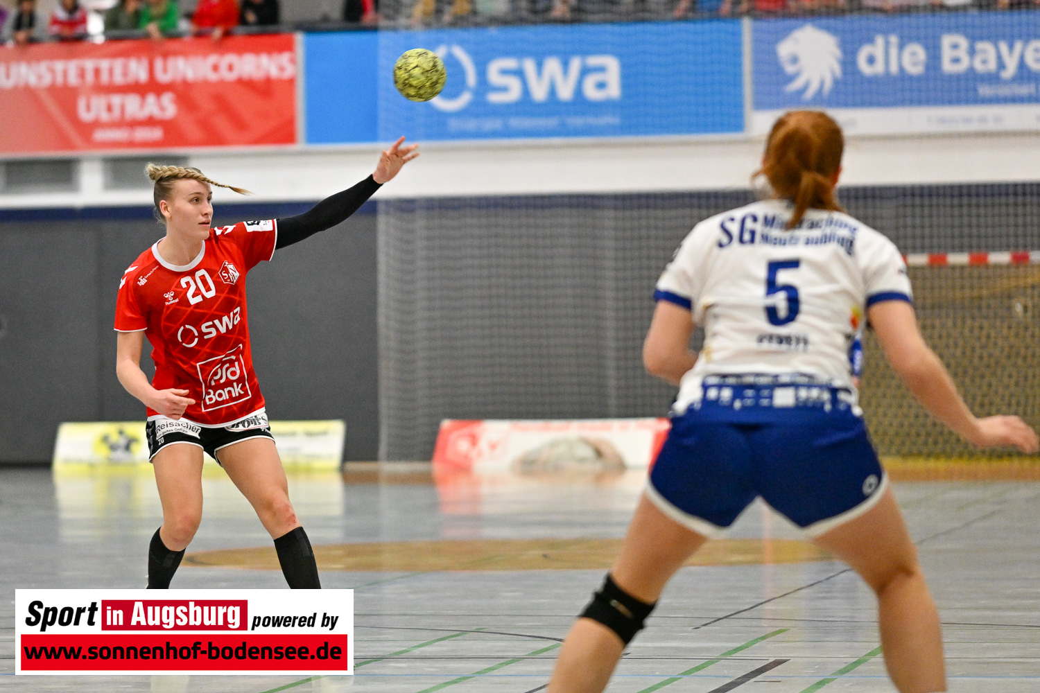 TSV Haunstetten Damen Handball 5595