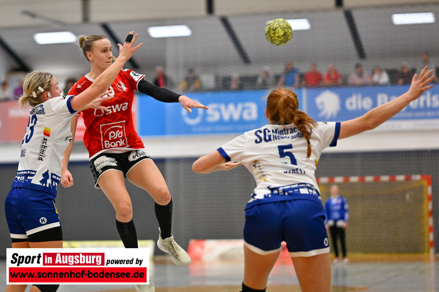 TSV Haunstetten Damen Handball 5592