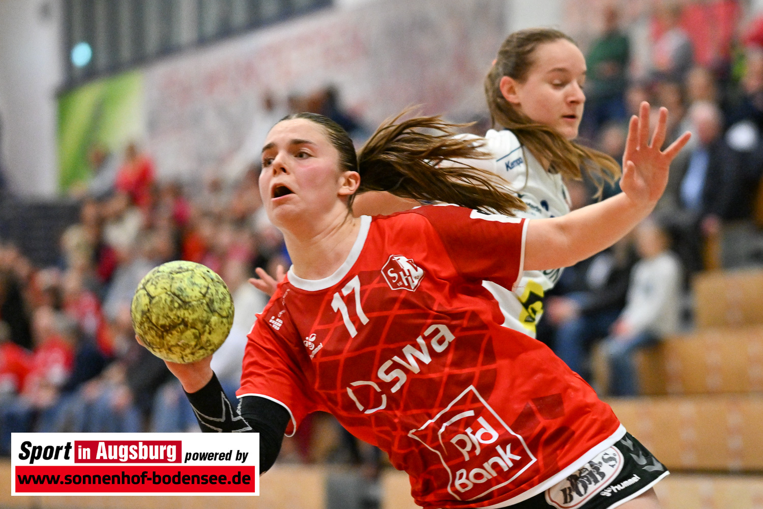 TSV Haunstetten Damen Handball 5626