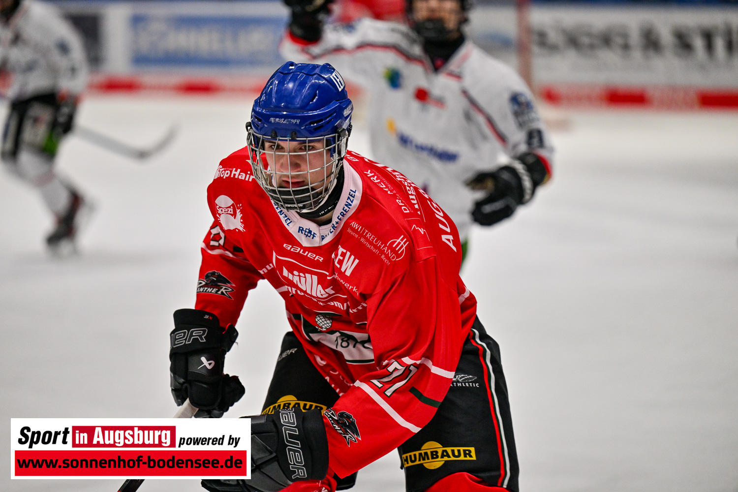 EHC Straubing Division 1 Eishockey 7455