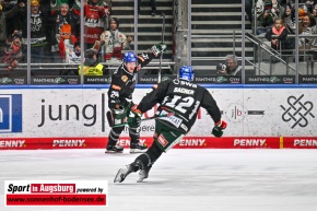 Eishockey_DEL_AEV_6831