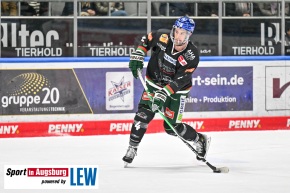 Eishockey_Iserlohn_AEV_5843
