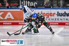 Eishockey_Iserlohn_AEV_6080