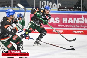 Eishockey_Iserlohn_AEV_6219
