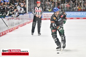 Eishockey_Iserlohn_AEV_6291