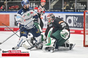 Eishockey_Iserlohn_AEV_6542