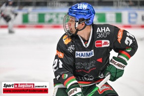 Eishockey_Iserlohn_AEV_6689