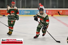 Kuhsee_Allstars_Eishockey_DSC_4858