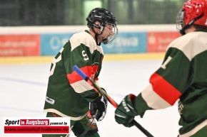 Kuhsee_Allstars_Eishockey_DSC_4874