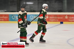 Kuhsee_Allstars_Eishockey_DSC_4931