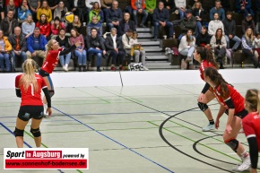 Volleyball_Damen_3_Liga_2286