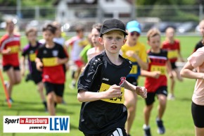 Landkreislauf-Guenzburg-Kinderlaeufe-Nordic-Walkingl-DSC_7761