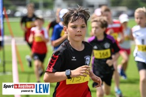 Landkreislauf-Guenzburg-Kinderlaeufe-Nordic-Walkingl-DSC_7766