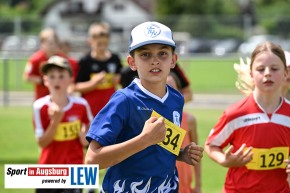 Landkreislauf-Guenzburg-Kinderlaeufe-Nordic-Walkingl-DSC_7770