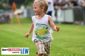 Landkreislauf-Guenzburg-Kinderlaeufe-Nordic-Walkingl-DSC_8198