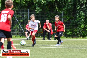 TSV-Firnhaberau-Nachwuchs-Fussballturnier-SIA_7054