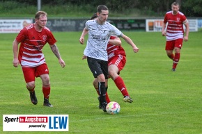 TSV_Dinkelscherben_Fussball_8086