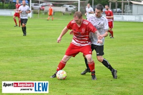 TSV_Dinkelscherben_Fussball_8190