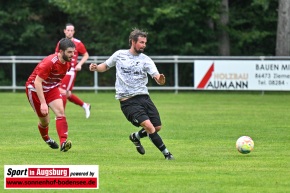 TSV_Dinkelscherben_Fussball_8269