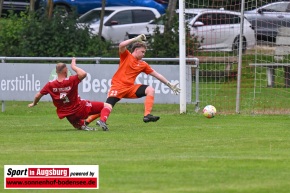 TSV_Dinkelscherben_Fussball_8320