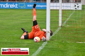 TSV_Dinkelscherben_Fussball_8400