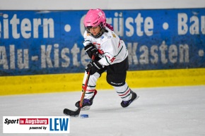 Nachwuchs_Eishockey_8074