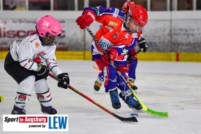 Nachwuchs_Eishockey_8111