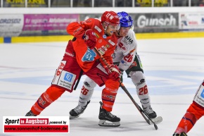 Peiting_Augsburg_Eishockey_8719