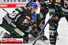 Eishockey-in-Augsburg_AEV_0937