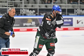 Eishockey-in-Augsburg_AEV_0945