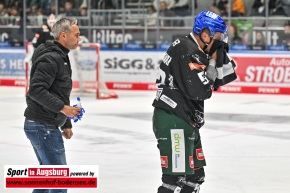 Eishockey-in-Augsburg_AEV_0948
