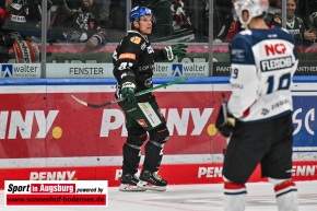 Eishockey-in-Augsburg_AEV_1211