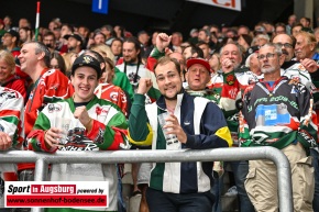 Eishockey-in-Augsburg_AEV_1403