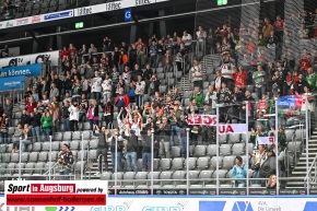 Eishockey-in-Augsburg_AEV_1450
