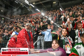 Eishockey-in-Augsburg_AEV_1503