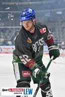 Nuernberg_Ice_Tigers_AEV_9549