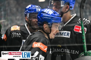 Nuernberg_Ice_Tigers_AEV_9722