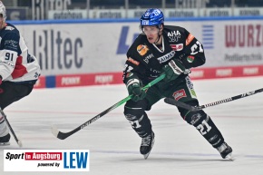 Nuernberg_Ice_Tigers_AEV_9858