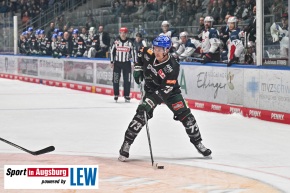 Nuernberg_Ice_Tigers_AEV_9905