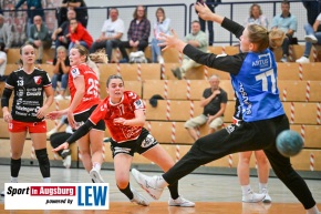 Haunstetten_TuS_Schutterwald_Handball_0007