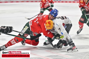 Eishockey_AEV_9030