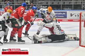 Eishockey_AEV_9064