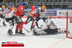 Eishockey_AEV_9065