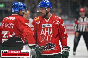 Eishockey_AEV_9077